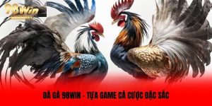 đá gà online 98WIN