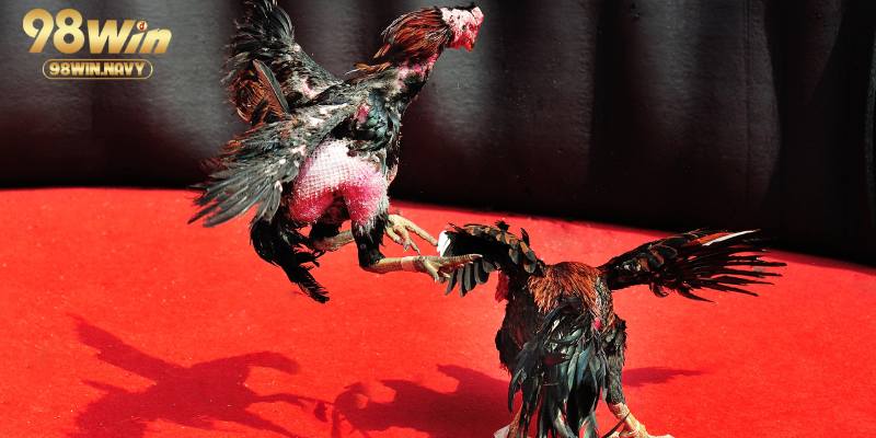 Giữ vững tâm lý